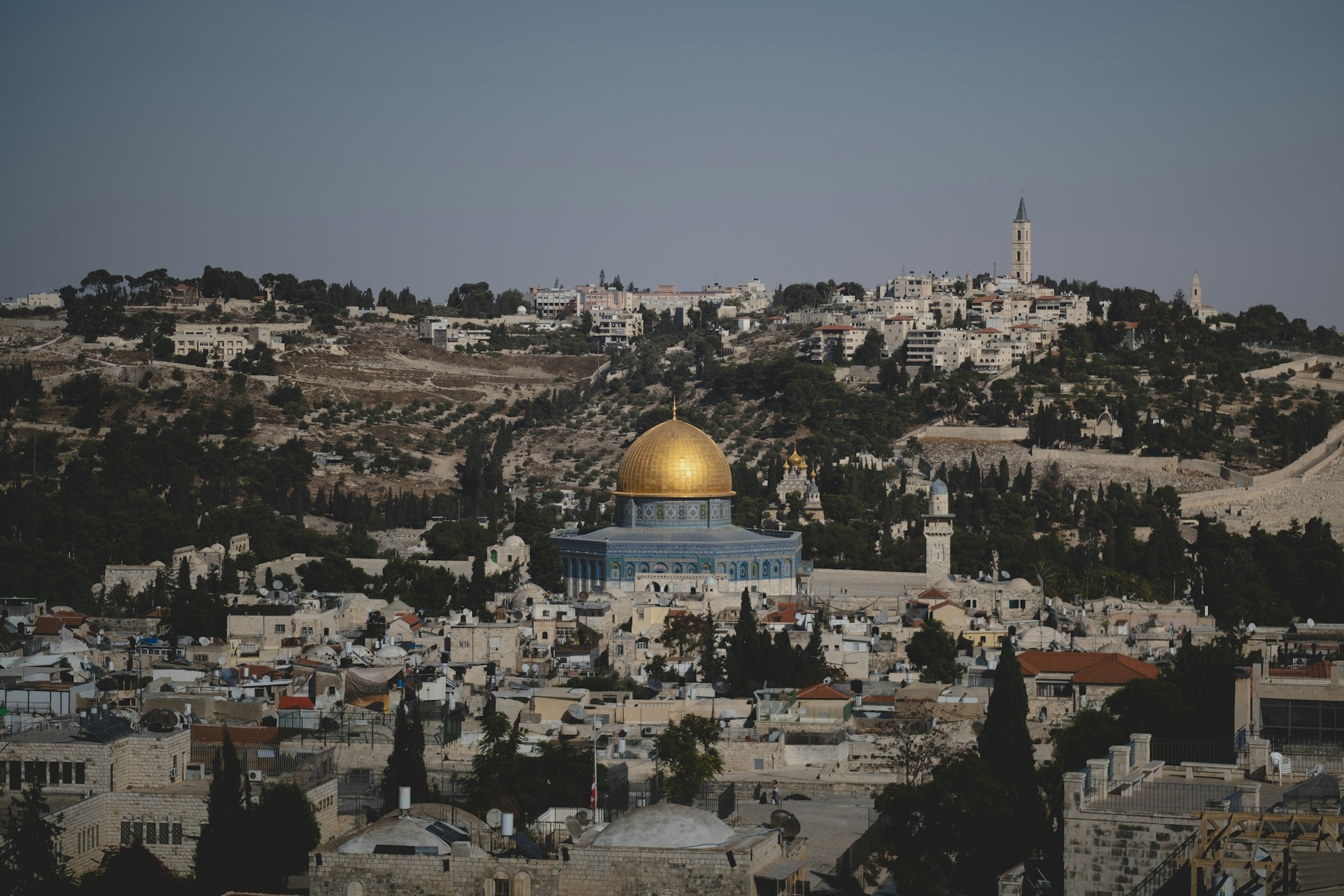 فلسطين